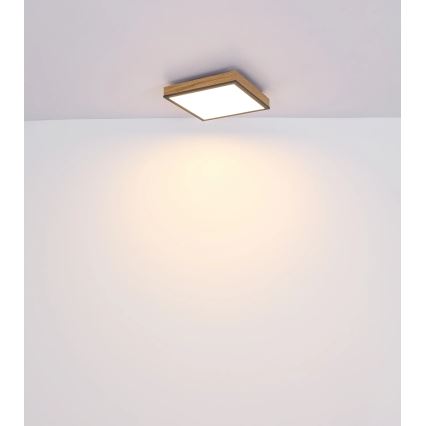Globo - Plafoniera LED dimmerabile LED/24W/230V 3000-6500K 45x45 cm