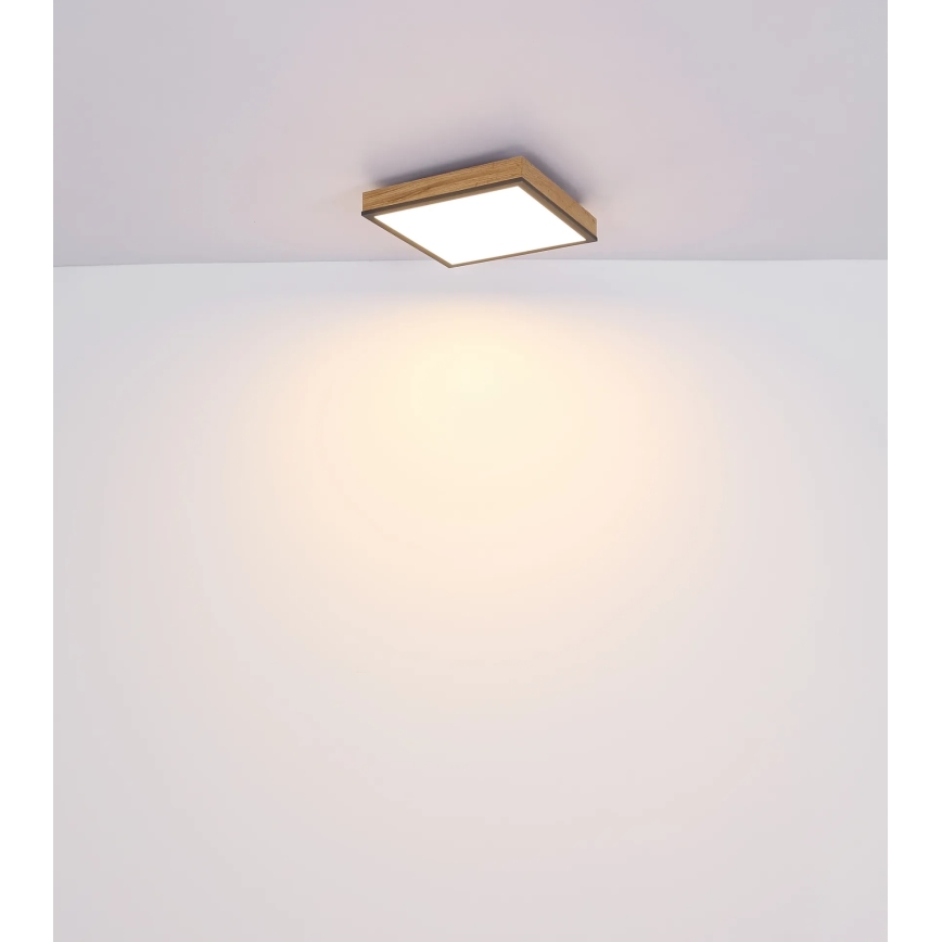 Globo - Plafoniera LED dimmerabile LED/24W/230V 3000-6500K 45x45 cm