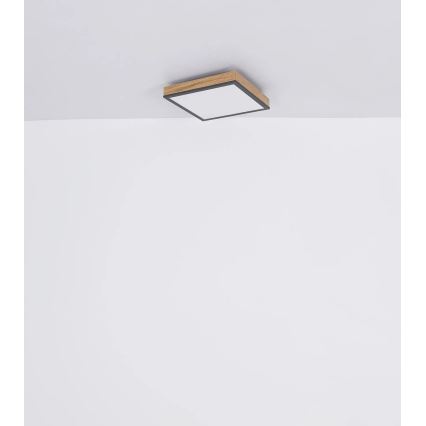 Globo - Plafoniera LED dimmerabile LED/24W/230V 3000-6500K 45x45 cm