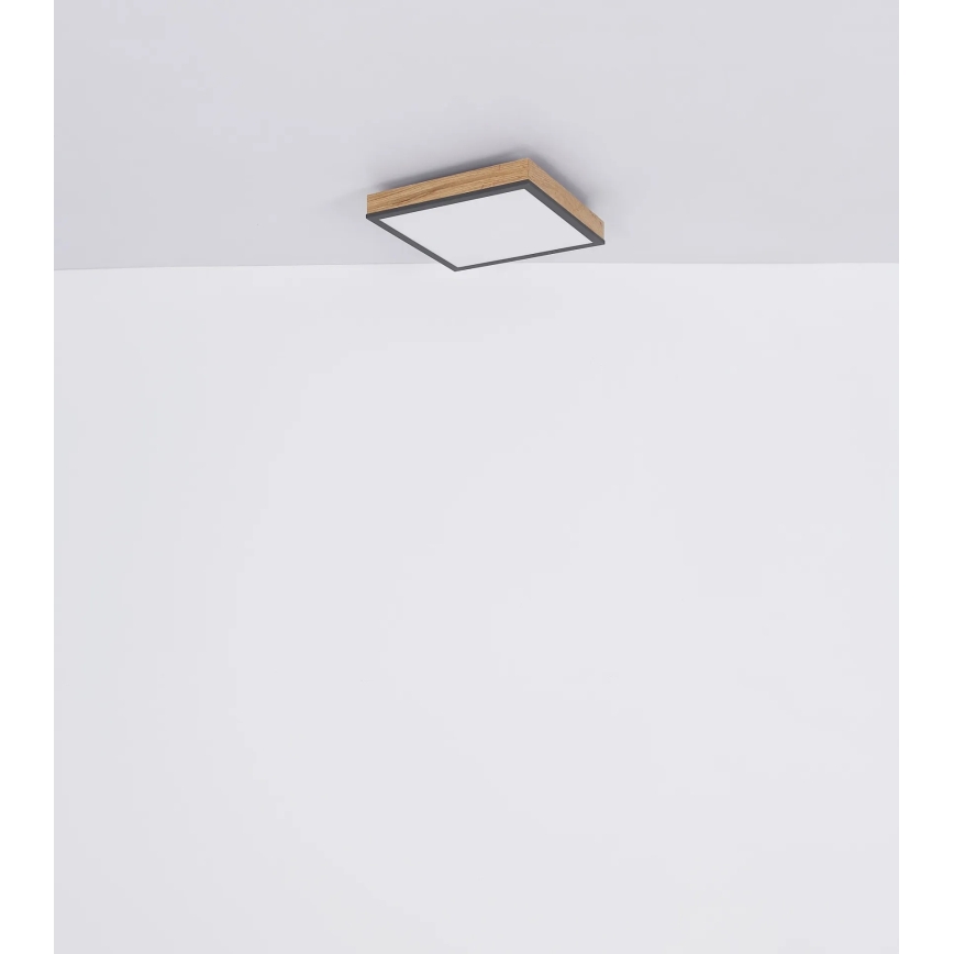 Globo - Plafoniera LED dimmerabile LED/24W/230V 3000-6500K 45x45 cm