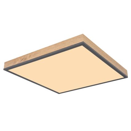 Globo - Plafoniera LED dimmerabile LED/24W/230V 3000-6500K 45x45 cm