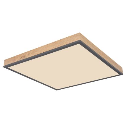 Globo - Plafoniera LED dimmerabile LED/24W/230V 3000-6500K 45x45 cm