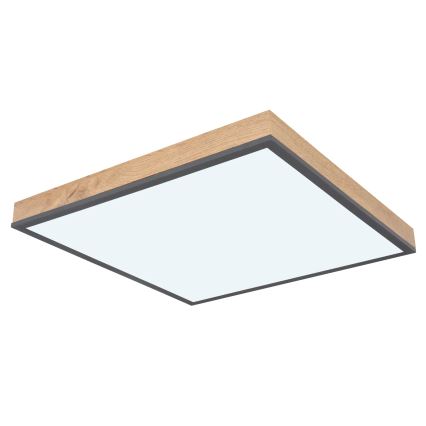 Globo - Plafoniera LED dimmerabile LED/24W/230V 3000-6500K 45x45 cm