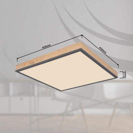Globo - Plafoniera LED dimmerabile LED/24W/230V 3000-6500K 45x45 cm