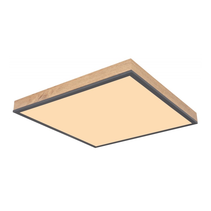 Globo - Plafoniera LED LED/24W/230V