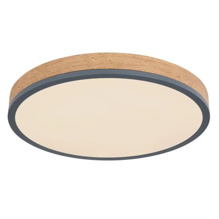 Globo - Plafoniera LED dimmerabile 24W/230V 2700-6500K diam. 45 cm
