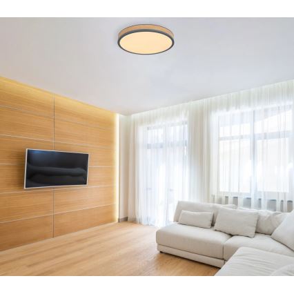 Globo - Plafoniera dimmerabile a LED/24W/230V 3000-6500K Ø 45 cm