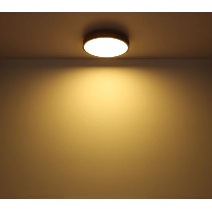 Globo - Plafoniera dimmerabile a LED/24W/230V 3000-6500K Ø 45 cm