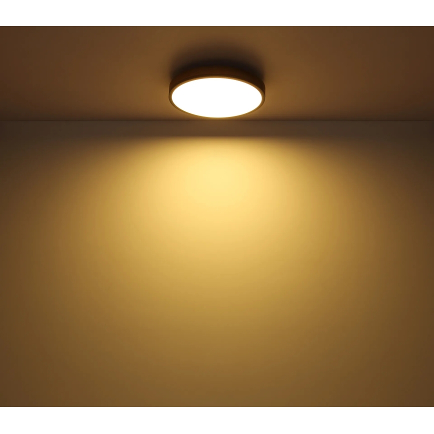Globo - Plafoniera dimmerabile a LED/24W/230V 3000-6500K Ø 45 cm