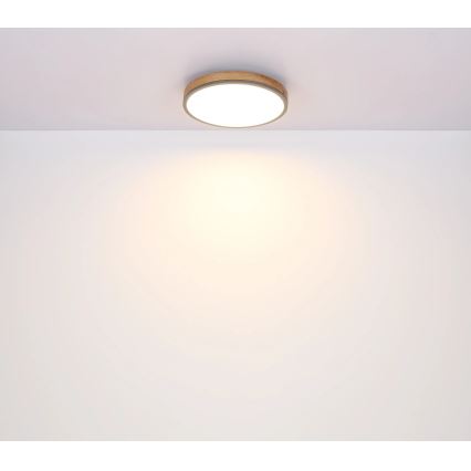 Globo - Plafoniera dimmerabile a LED/24W/230V 3000-6500K Ø 45 cm