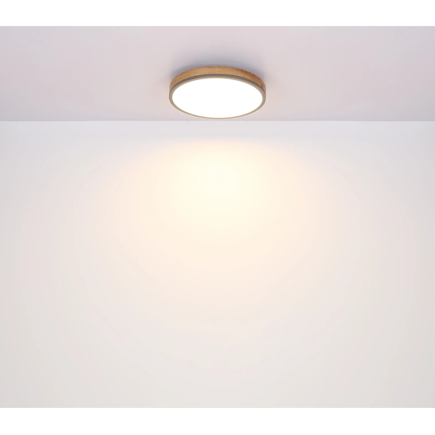 Globo - Plafoniera dimmerabile a LED/24W/230V 3000-6500K Ø 45 cm