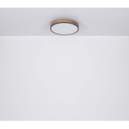Globo - Plafoniera dimmerabile a LED/24W/230V 3000-6500K Ø 45 cm