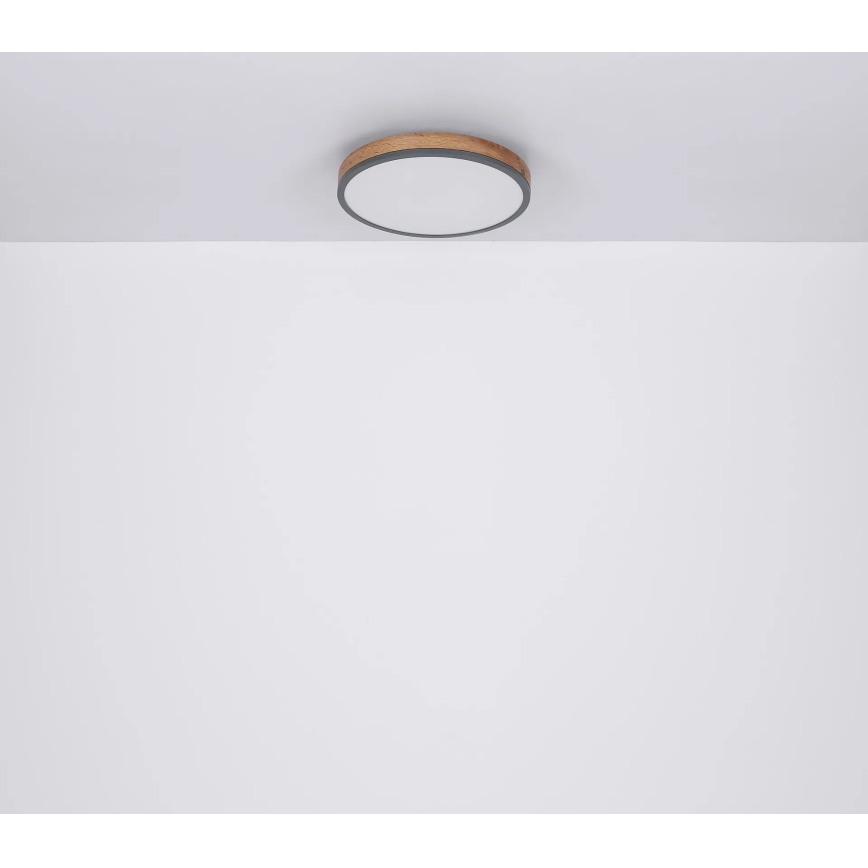 Globo - Plafoniera dimmerabile a LED/24W/230V 3000-6500K Ø 45 cm