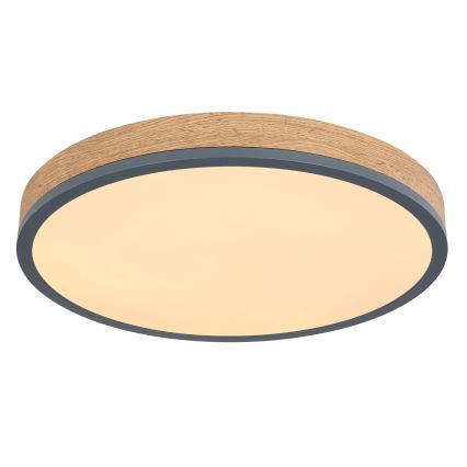 Globo - Plafoniera dimmerabile a LED/24W/230V 3000-6500K Ø 45 cm