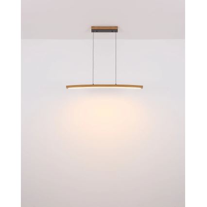 Globo - Lampadario LED dimmerabile con comando touch a sospensione con cavo LED/18W/230V 3000K
