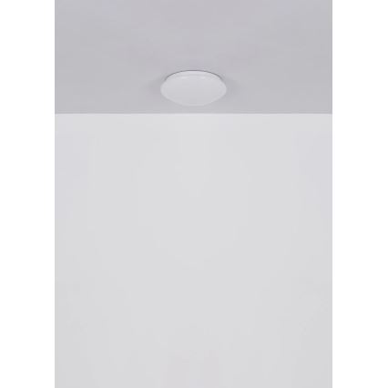 Globo - Plafoniera LED/12W/230V 4000K Ø 25,4 cm