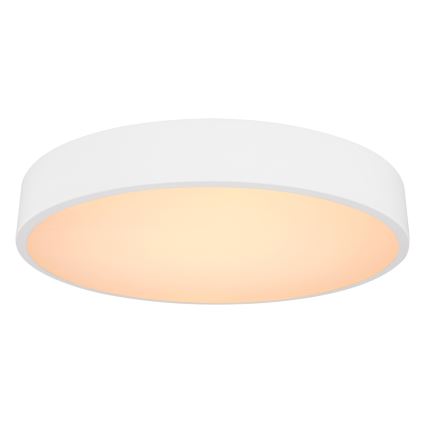 Globo -Plafoniera LED dimmerabile WISS LED/24W/230V