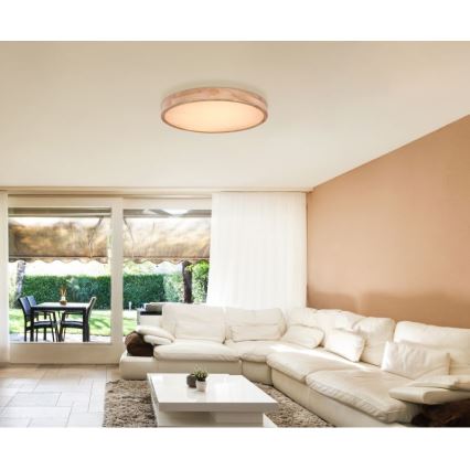 Globo - Plafoniera LED dimmerabile LED/48W/230V + telecomando