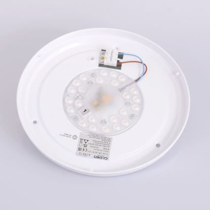 Globo - Plafoniera LED LED/12W/230V 307 mm 3000/4500/6000K
