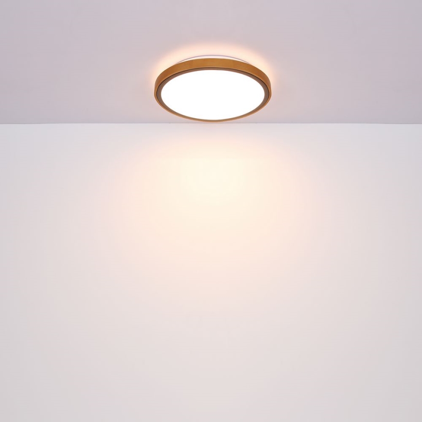 Globo - Plafoniera LED LED/24W/230V 437mm 3000/4500/6000K
