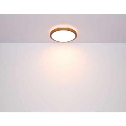 Globo - Plafoniera LED LED/12W/230V 3000/4500/6000K diametro 30 cm