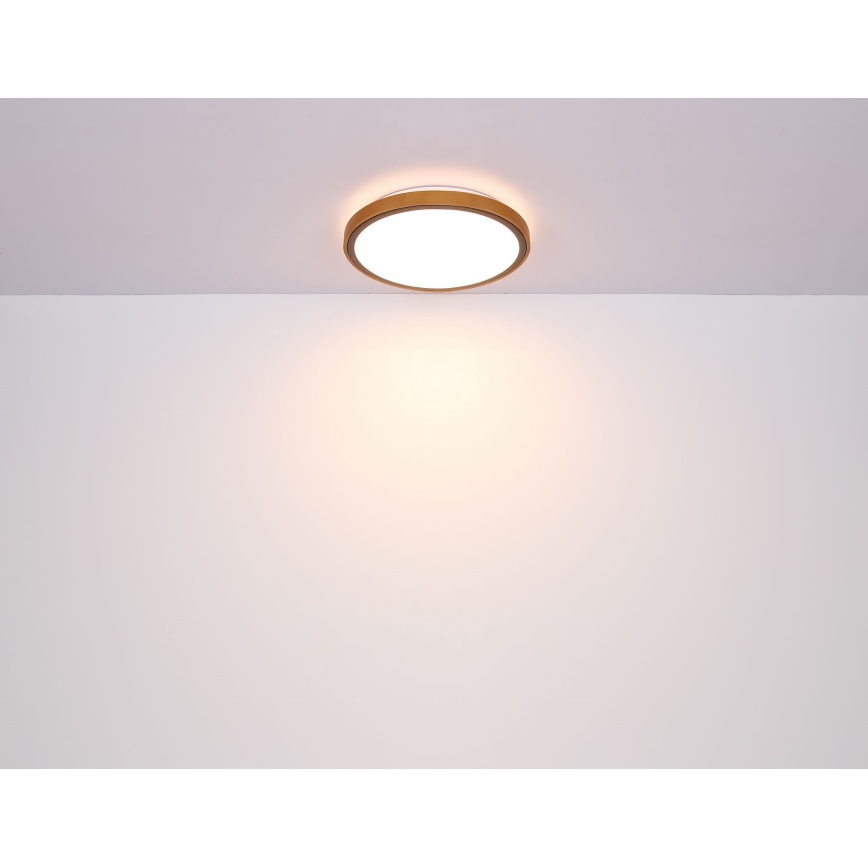 Globo - Plafoniera LED LED/24W/230V 3000/4500/6000K diametro 42 cm