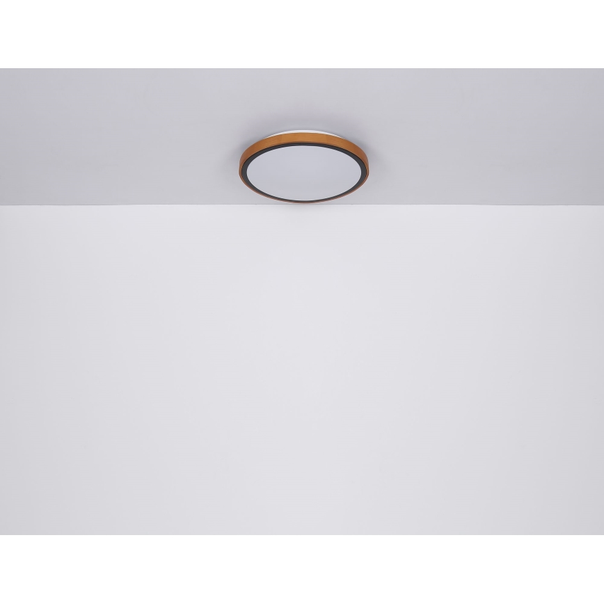 Globo - Plafoniera LED LED/24W/230V 3000/4500/6000K diametro 42 cm