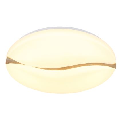 Globo - Lampada da soffitto LED/24W/230V 3000/4200/6000K diam. 33 cm