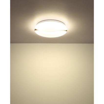 Globo - Plafoniera LED LED/24W/230V 3000/4200/6000K diametro 39 cm