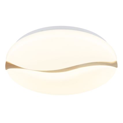 Globo - Plafoniera LED LED/24W/230V 3000/4200/6000K diametro 39 cm