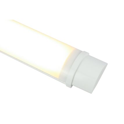 GLOBO 42006-20 - Lampada tecnica fluorescente LED OBARA 1xLED/20W/230V IP65