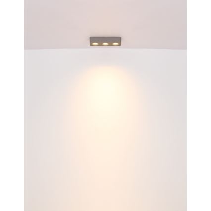 Globo - Plafoniera LED LED/14W/230V 11,7x33,2 cm