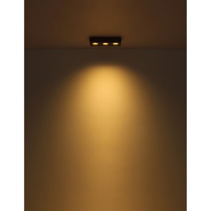 Globo - Plafoniera LED LED/14W/230V 11,7x33,2 cm