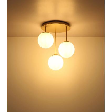 Globo - Lampadario a plafone 3xE14/25W/230V ottone