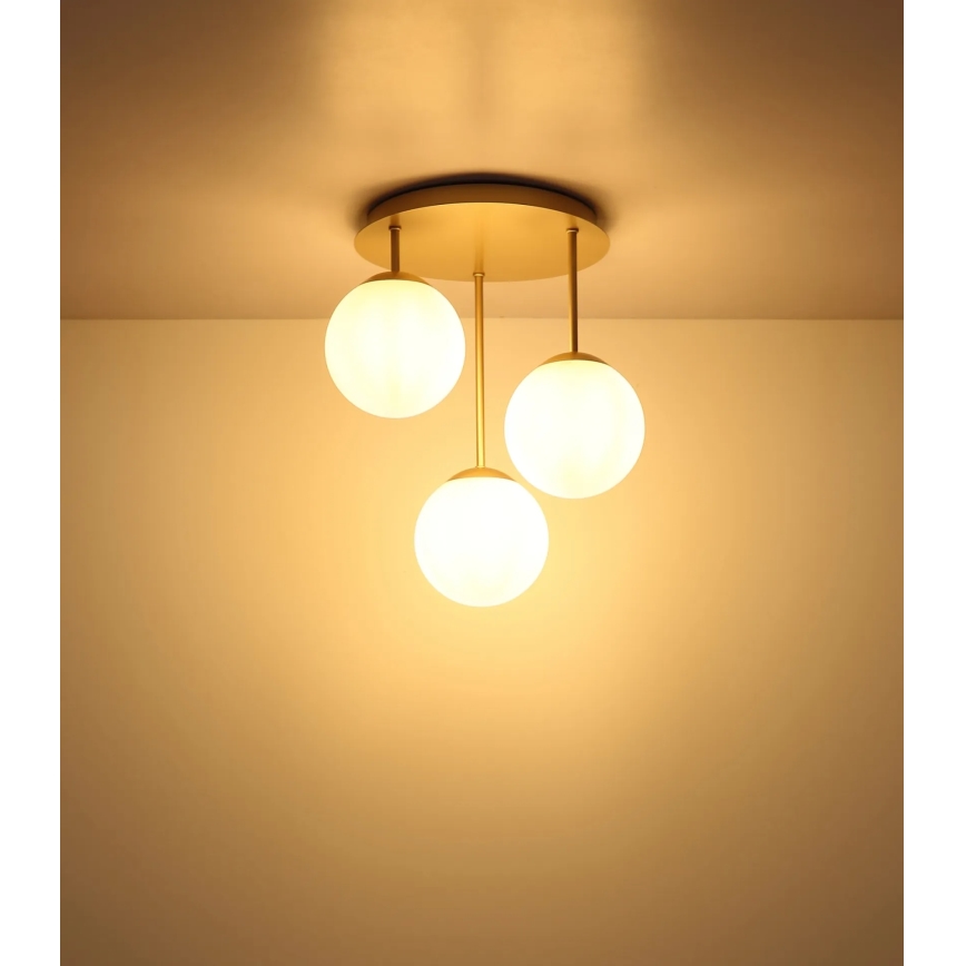 Globo - Lampadario a plafone 3xE14/25W/230V ottone