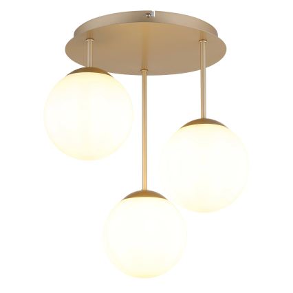 Globo - Lampadario a plafone 3xE14/25W/230V ottone