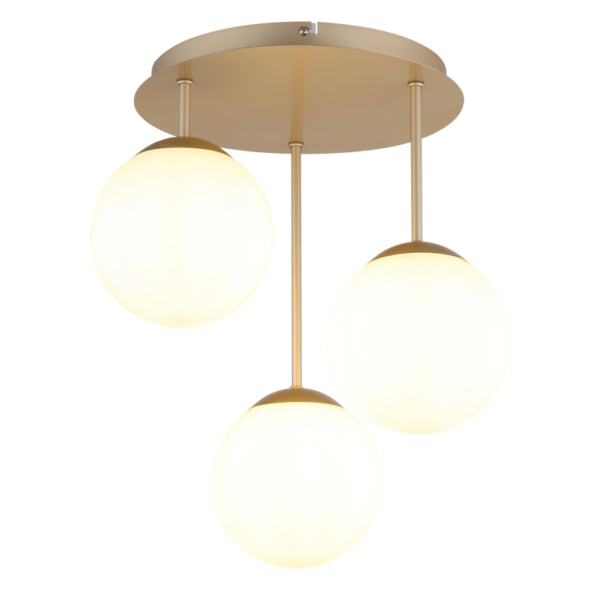 Globo - Lampadario a plafone 3xE14/25W/230V ottone
