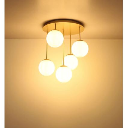 Globo - Lampadario a plafone 5xE14/25W/230V ottone