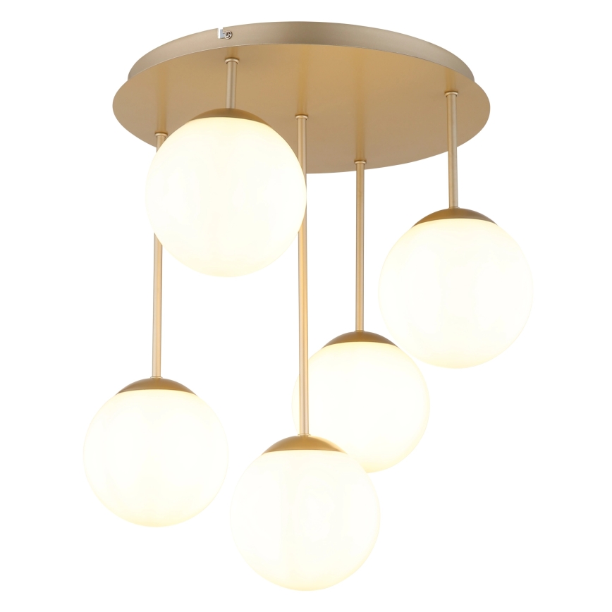 Globo - Lampadario a plafone 5xE14/25W/230V ottone