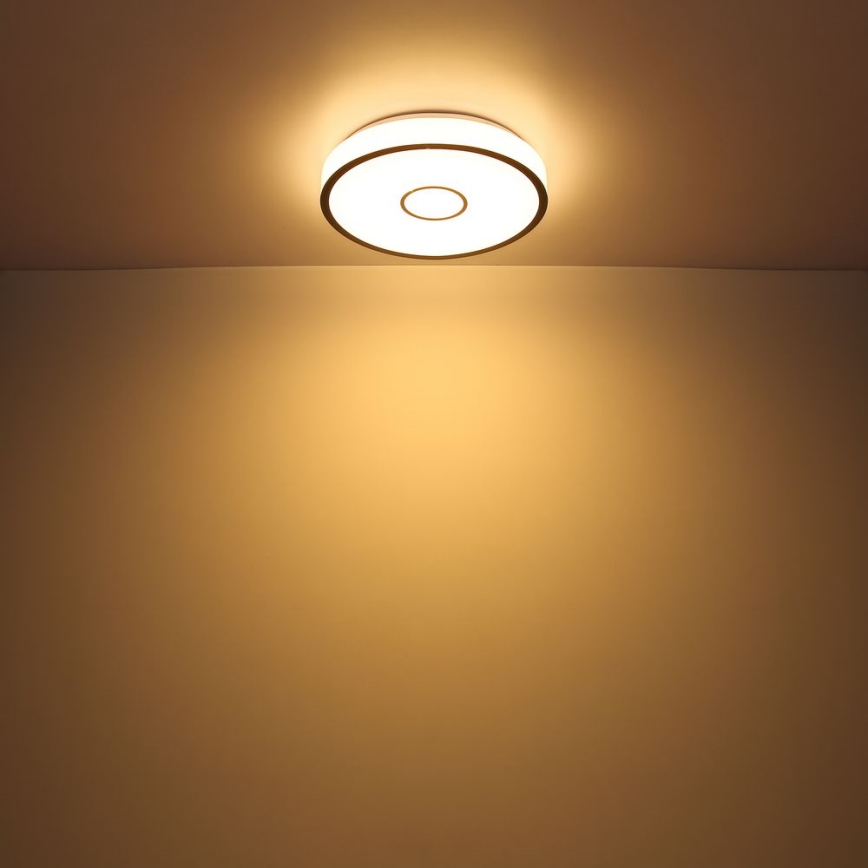 Globo - Lampada da bagno dimmerabile LED RGB LED/40W/230V 2700-6500K IP44 Wi-Fi Tuya + telecomando