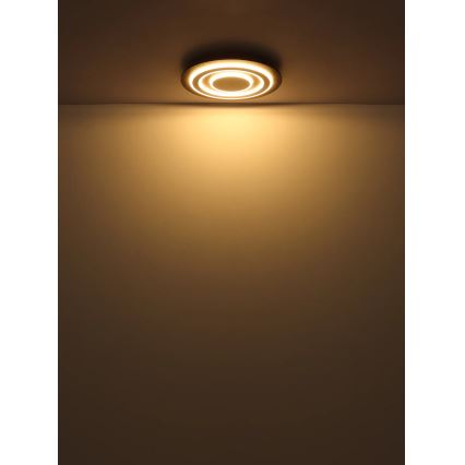 Globo - Plafoniera LED LED/24W/230V 3000K diametro 32 cm antracite