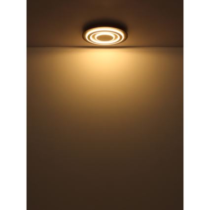 Globo - Plafoniera LED LED/24W/230V 3000K diametro 32 cm