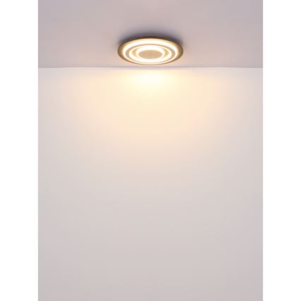 Globo - Plafoniera LED LED/24W/230V 3000K diametro 32 cm