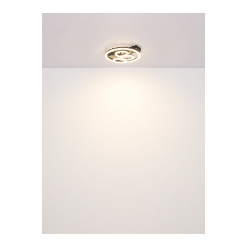 Globo - Plafoniera LED dimmerabile LED/40W/230V 2700-6500K Ø 35x33 cm + telecomando