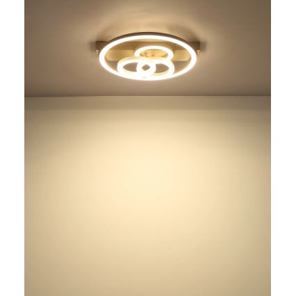 Globo - Plafoniera dimmerabile a LED 40W/230V 2700-6500K Ø 35x33 cm beige + telecomando