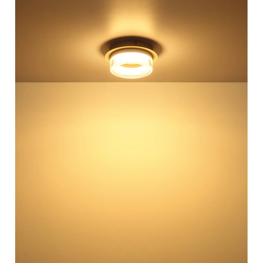 Globo - Plafoniera LED 8W/230V 3000K Ø 16 cm