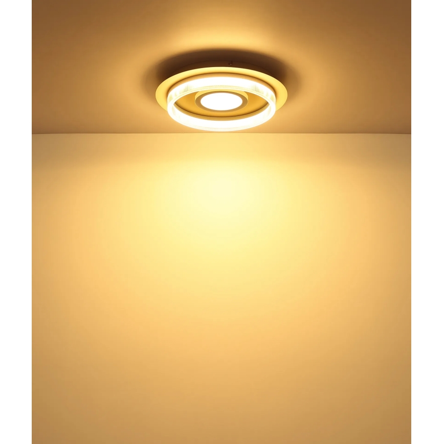 Globo - Plafoniera LED 24W/230V 3000K, diametro 40 cm