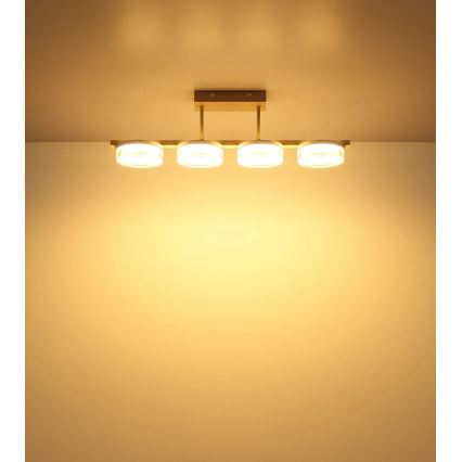 Globo - Plafoniera LED aderente LED/24W/230V 3000K