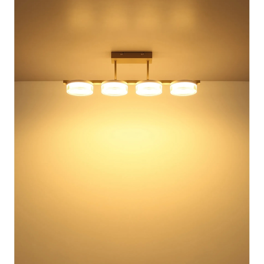 Globo - Plafoniera LED aderente LED/24W/230V 3000K