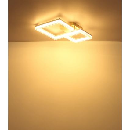 Globo - Plafoniera LED LED/24W/230V 3000K 46,5x62,5 cm